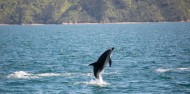 Pelorus Mail Boat Cruise image 10