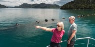 Pelorus Mail Boat Cruise image 12