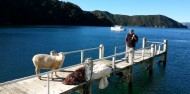 Pelorus Mail Boat Cruise image 7