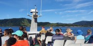 Picton Mail Boat Cruise image 6