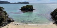 Freedom Walk Port William – Rakiura Charters and Water Taxi image 4