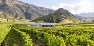 Private Queenstown Wine & Food Tour image 9