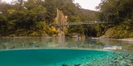 Queenstown to Franz Josef via Wanaka Day Tour - One Way image 7