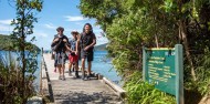 Queen Charlotte Track Day Walk & Cruise - Beachcomber Cruises image 1