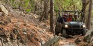 Scenic Guided Buggy Ride - Nomad Safaris image 7