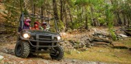 Scenic Guided Buggy Ride - Nomad Safaris image 4