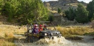Scenic Guided Buggy Ride - Nomad Safaris image 2