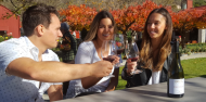 Day Spa & Wine Experience image 2