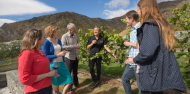 Wine Tours - Queenstown Wine Trail image 5