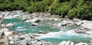 Franz Josef Day Tour image 5