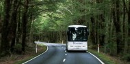 Fox Glacier Day Tour image 2