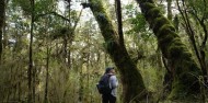 Milford Track Day Walk - RealNZ image 4