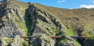 Scenic Train Journey - Taieri Gorge Railway image 5