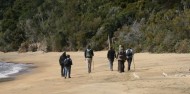 Ulva Island Guided Walk – Rakiura Charters and Water Taxi image 6