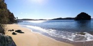 Ulva Island Guided Walk – Rakiura Charters and Water Taxi image 7