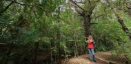 Ulva Island Guided Walk – Rakiura Charters and Water Taxi image 4