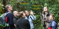 Ulva Island Guided Walk – Rakiura Charters and Water Taxi image 2