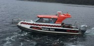 Ulva Island Guided Walk – Rakiura Charters and Water Taxi image 5