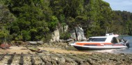 Whalers Base History Tour - Rakiura Charters and Water Taxi image 1