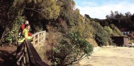 Ulva Island Guided Walk – Rakiura Charters and Water Taxi image 1