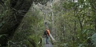 Ulva Island Guided Walk – Rakiura Charters and Water Taxi image 3