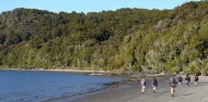 Freedom Walk Port William – Rakiura Charters and Water Taxi image 3