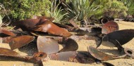 Whalers Base History Tour - Rakiura Charters and Water Taxi image 5