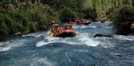 Rafting - Rangitaiki River Grade 3-4 image 4