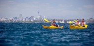 Kayaking - Rangitoto Island Day Tour image 3