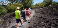 Kayaking - Rangitoto Island Day Tour image 7