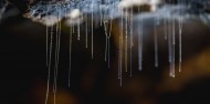 Doubtful Sound Cruise & Te Anau Glowworms Combo image 3