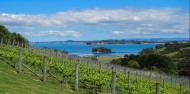 Food & Wine Tour - Taste of Waiheke image 5