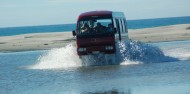 Farewell Spit Eco Tours image 5