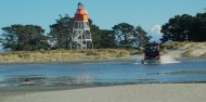Farewell Spit Eco Tours image 4