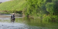 Guided Fishing - River Talk Guiding image 2