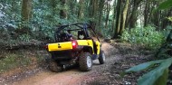 4x4 Buggy Tours - Adventure Playground image 2