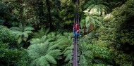 Ziplining - Original Canopy Tour image 7