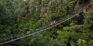 Ziplining - Ultimate Canopy Tour image 9