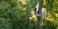 Ziplining - Ultimate Canopy Tour image 8