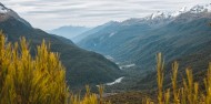 Routeburn Track Day Walk to Key Summit image 3