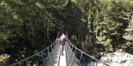 Guided Walks - Full Day Routeburn Nature Walk image 11