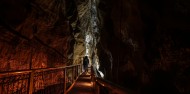 Ruakuri Cave Tour - Discover Waitomo image 8