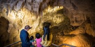 Ruakuri Cave Tour - Discover Waitomo image 5
