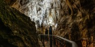 Ruakuri Cave Tour - Discover Waitomo image 6