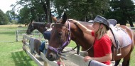 Horse Riding - Waimak River Riding Centre image 3