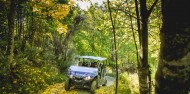 Scenic Guided Buggy Ride - Off Road Adventures image 2