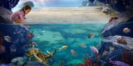 Aquarium - Kelly Tarltons Sea Life Aquarium image 6