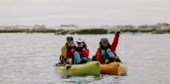 Kayaking - Seal Kayak Kaikoura image 6