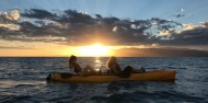 Kayaking - Seal Kayak Kaikoura image 7