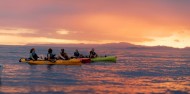 Kayaking - Seal Kayak Kaikoura image 2
